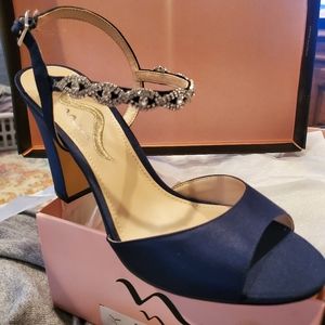 Nina brand Navy shoe 8 1/2